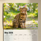 Cute Kitten Calendar 2026